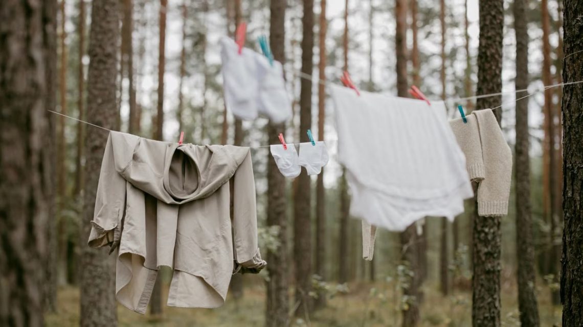 Clothes hanging on a line in a serene forest, creating a rustic outdoor laundry scene.